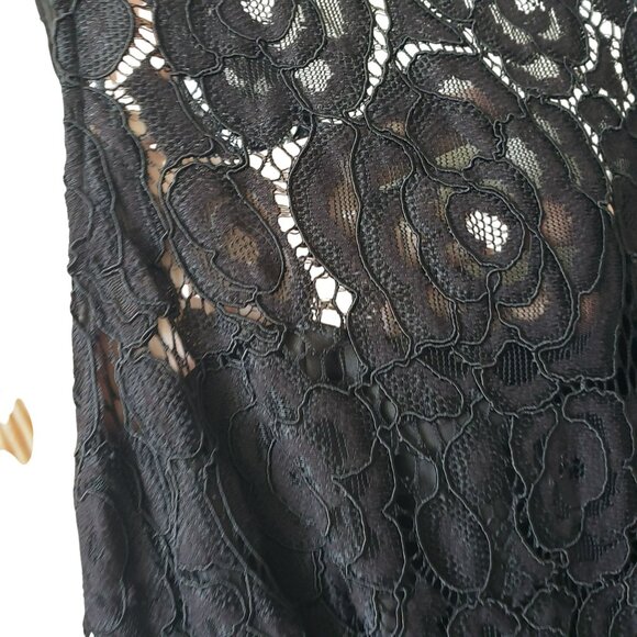 Ellen Tracy Arcadia Print Black Lace Pink Blue Floral Fit and Flare Midi Dress - Picture 6 of 13